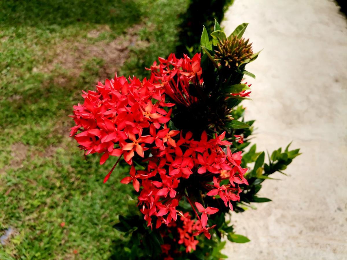 Bungalows Malu กาอุยตา ภายนอก รูปภาพ
